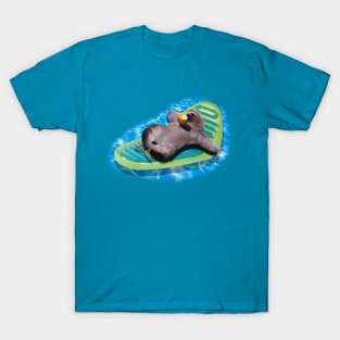 Chilled Sloth getting some Rays T-Shirt